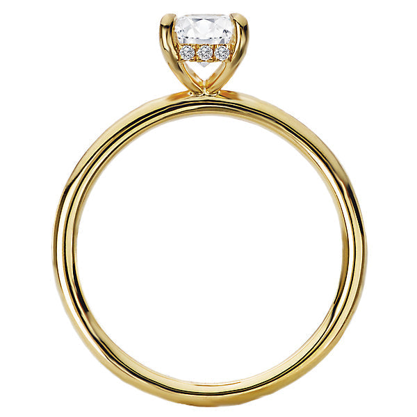 Emerald  Lab Grown Diamond  Diamond Hidden Halo Engagement Ring