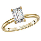 Emerald  Lab Grown Diamond  Diamond Hidden Halo Engagement Ring