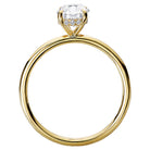 Oval  Lab Grown Diamond  Diamond Semi-Mount Engagement Ring